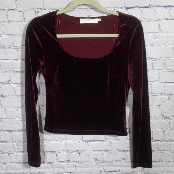 Astr Tops - Astr Womens Velvet long Sleeve Crop Top in Eggplant Sz M Whimsigoth Fairy Grunge